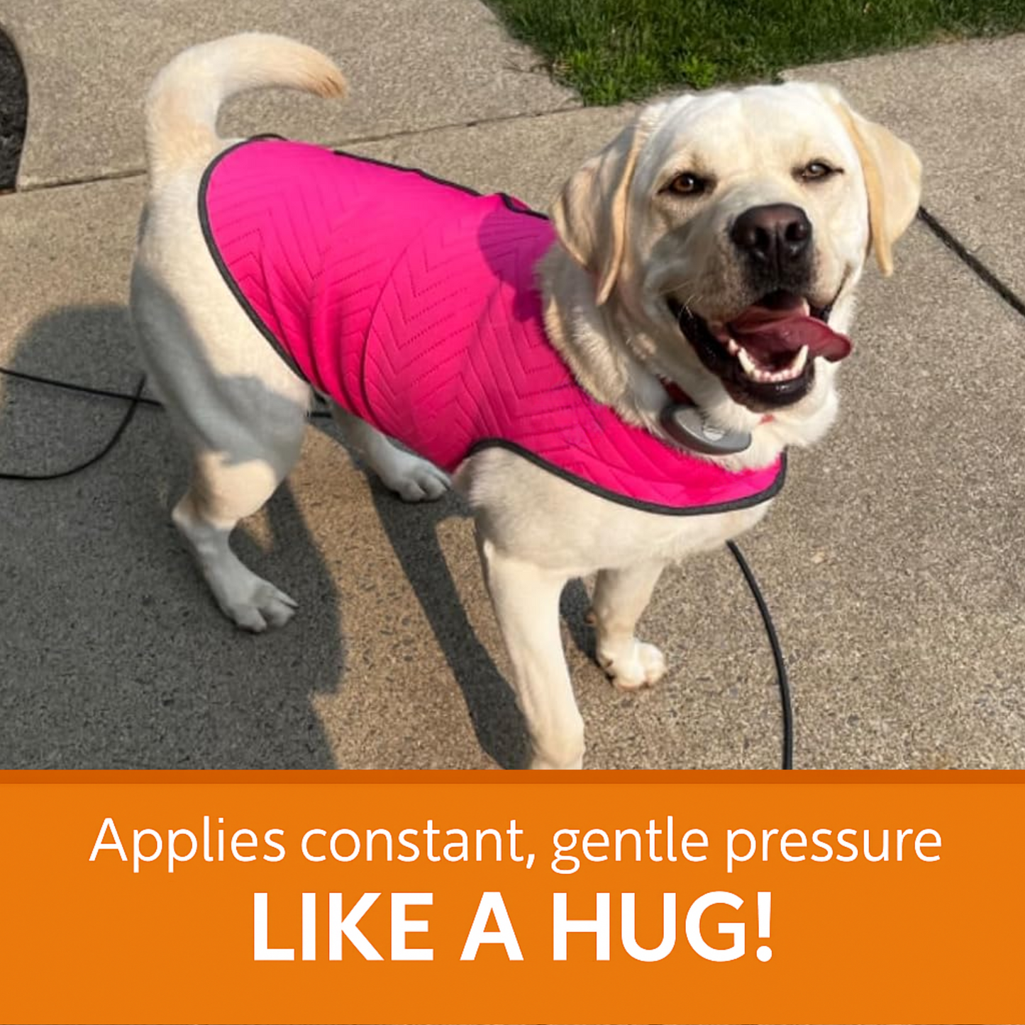 Pawmere™ Dog Anxiety Vest